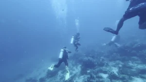 水中を泳ぐダイバー