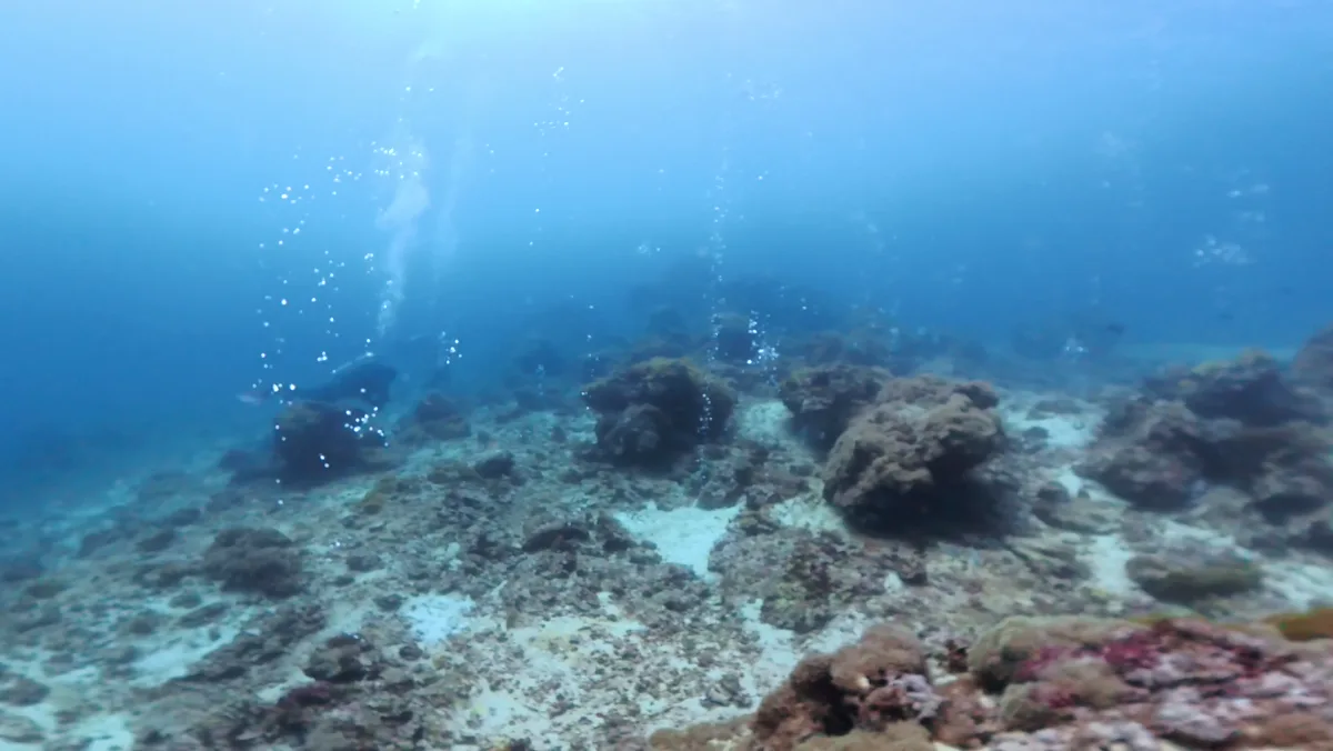 気泡が立ちのぼる海中の風景