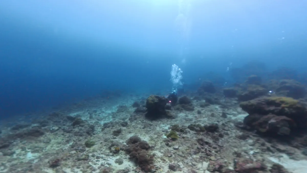 リーフの縁と青い海の風景