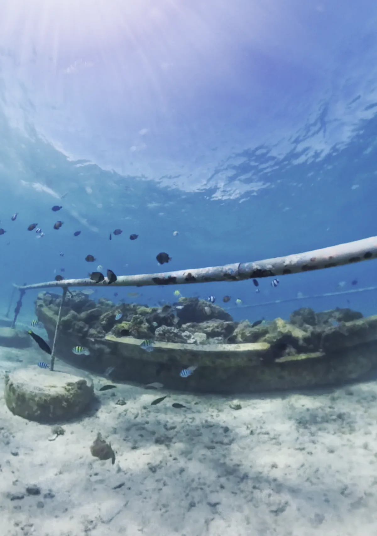 海底のロープと沈んだ構造物